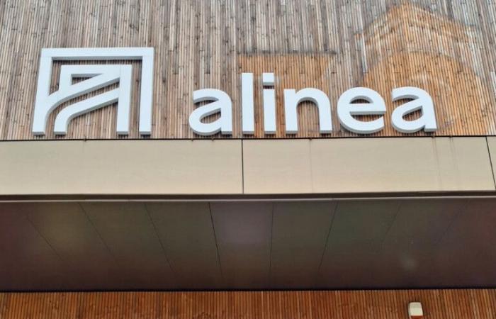 Seine-et-Marne. Four years after its closure, Alinea reopens a store in Cesson