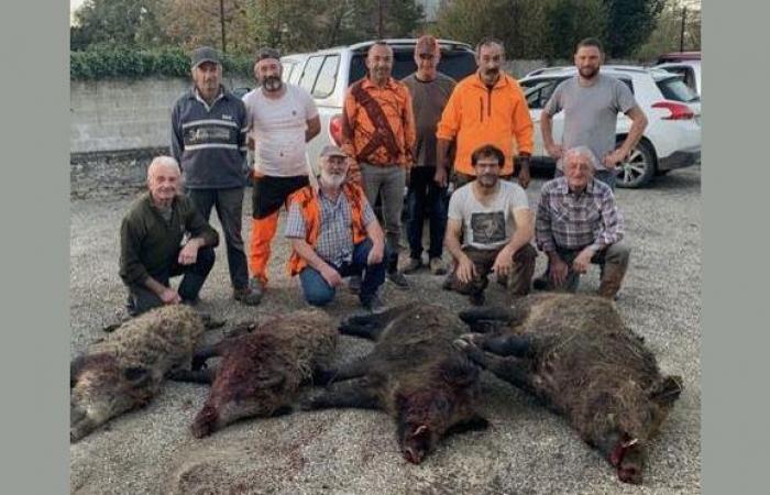 A 167 kg wild boar in Lot et Garonne