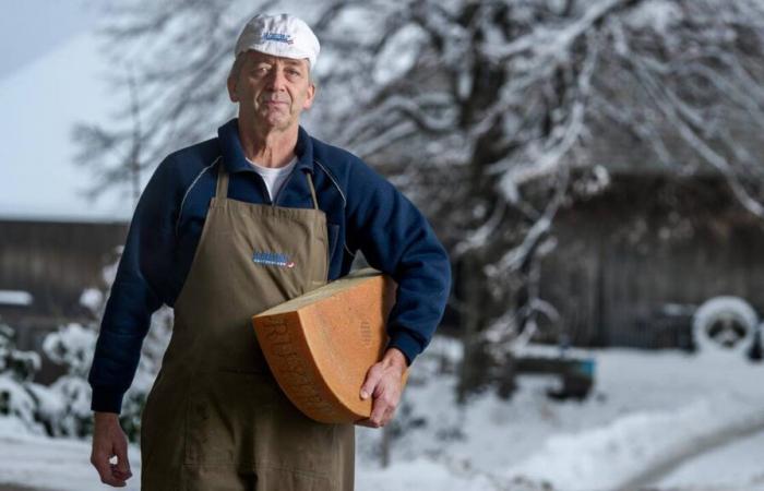 The World Cheese Awards in Bern, an international launch pad for Swiss cheesemakers