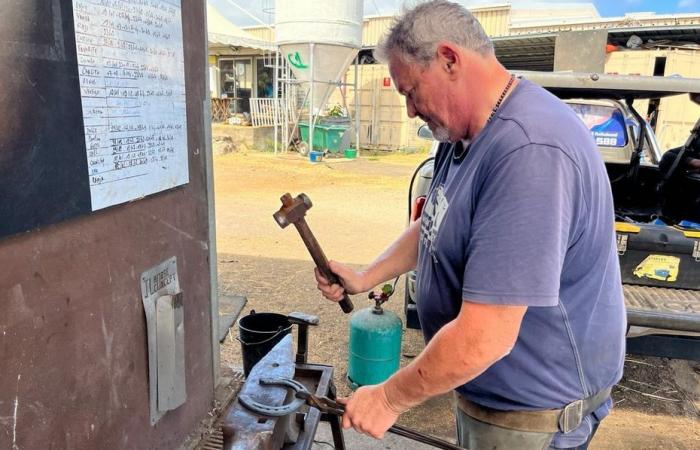 PORTRAIT. Eric Fontaine, farrier in Reunion, has been practicing his art for nearly 42 years