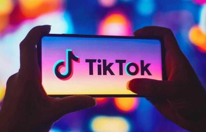 TikTok launches AI tool to offer on-demand ads