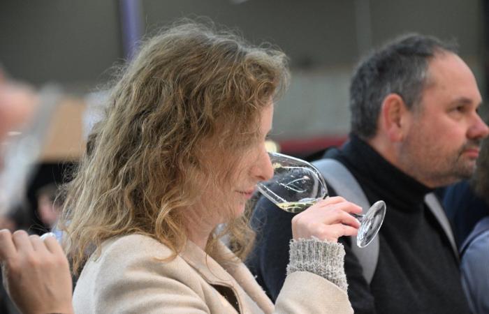 Burgundy wines: Welcome to the kingdom of pleasure tastings in Beaune