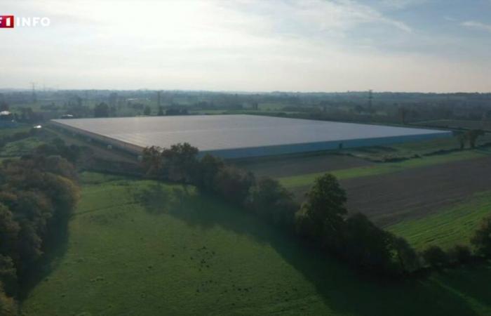 “We don’t want it”: these inhabitants of La Manche are fighting against a giant greenhouse project