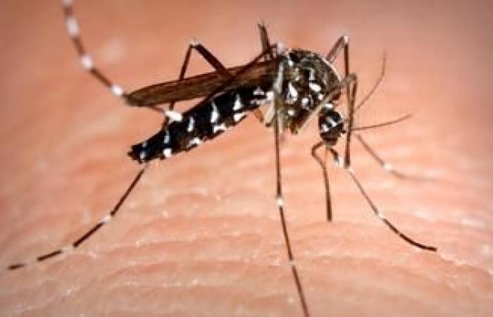 faced with DENV3, a serotype of the dengue virus, Guadeloupe enters an epidemic phase