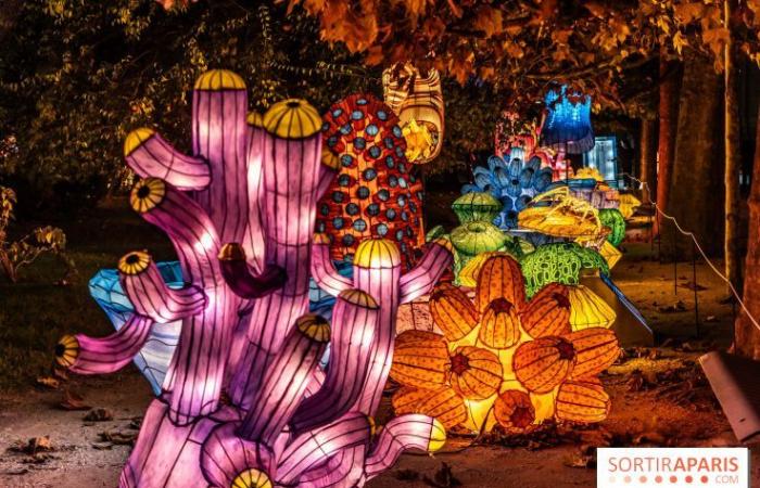 Jurassic in the process of illumination: the 2024-2025 festival of lights at the Jardin des Plantes – photos