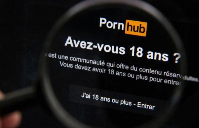 France takes this unprecedented and radical decision for adult sites