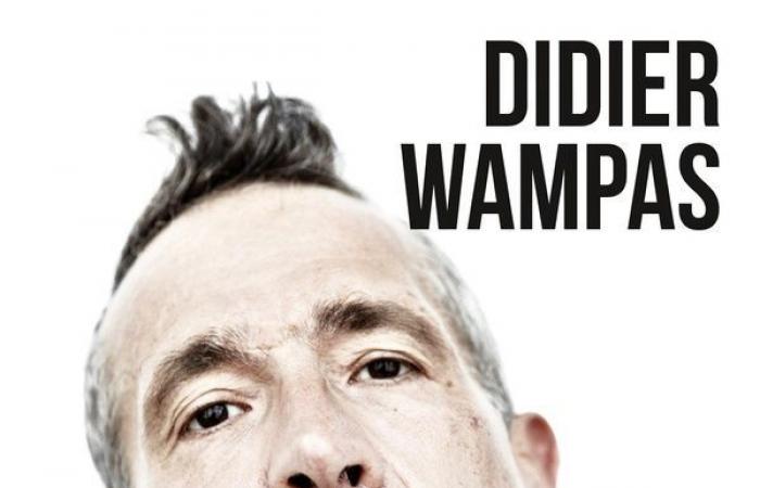 Singer and musician Didier Wampas talks cash in his memoir, “Worker Punk”