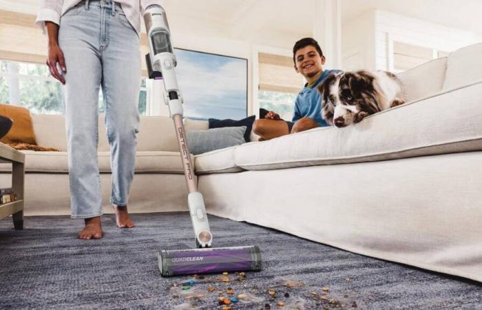 Your vacuum cleaner at a reduced price thanks to our exclusive Shark Clean promo code