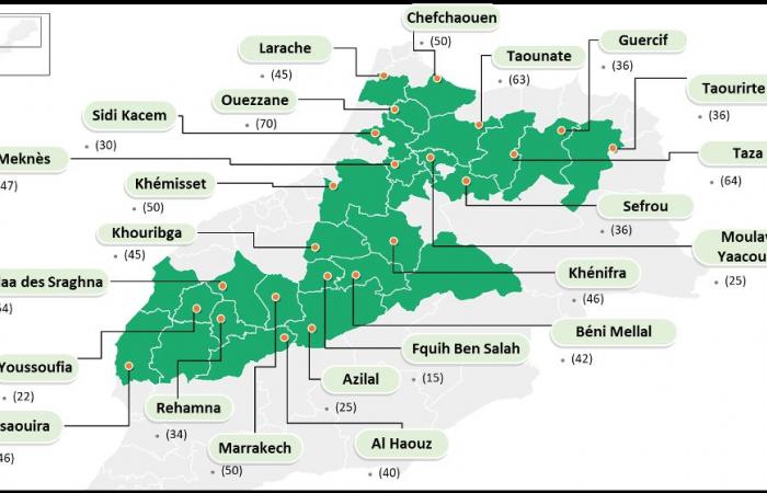 Olive growing. Assessment of the Al Moutmir campaign and program