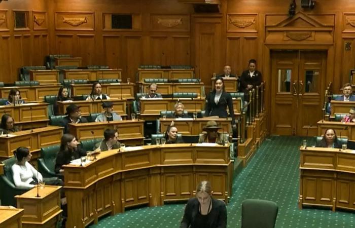 Why a New Zealand parliamentary session was interrupted with a haka