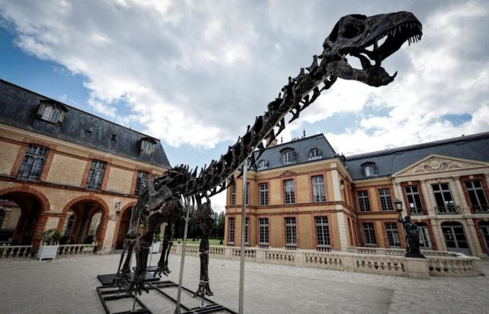 A giant dinosaur skeleton sold for 6 million euros in Yvelines