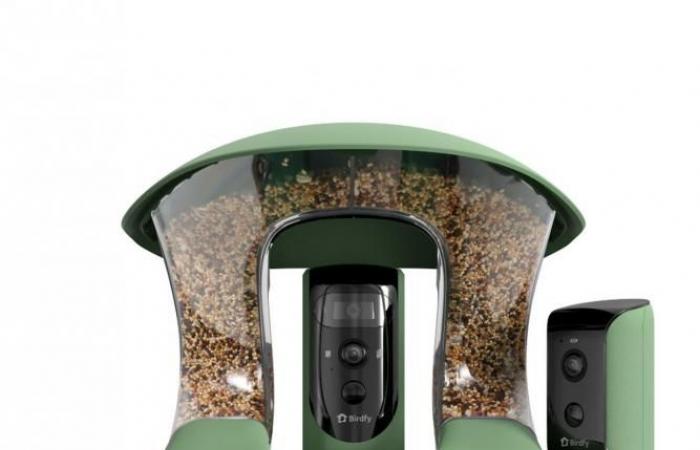 Tested for you: Birdfy Feeder 2 Duo