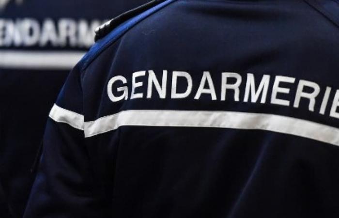 paramedics threatened by an armed man near a nursing home in Riez