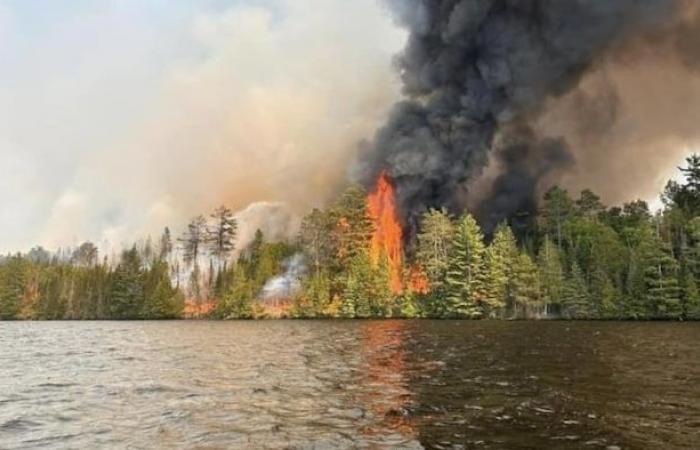 Ottawa man pleads guilty in connection with Centennial Lake wildfire