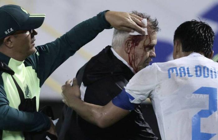 Soccer. Mexico coach attacked at end of match against Honduras