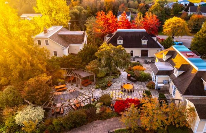 Winery, restaurant…: From St. Gallen to Nova Scotia: the Canadian odyssey of a Swiss family