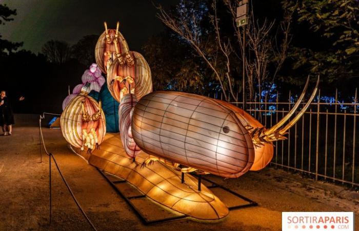 Jurassic in the process of illumination: the 2024-2025 festival of lights at the Jardin des Plantes – photos