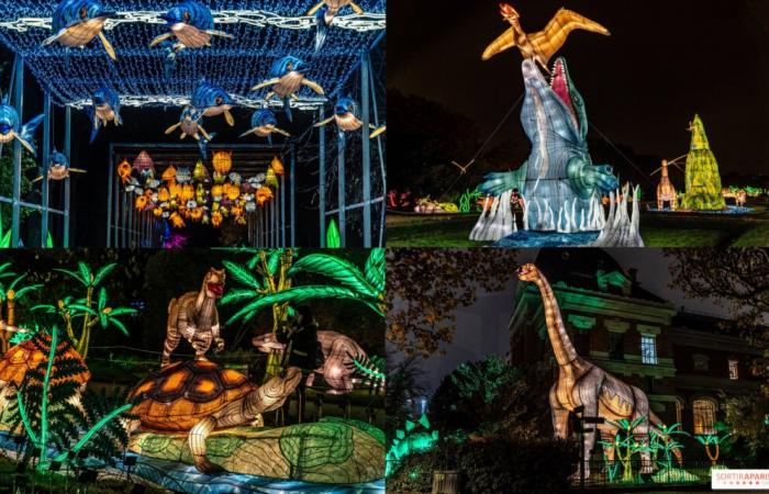 Jurassic in the process of illumination: the 2024-2025 festival of lights at the Jardin des Plantes – photos