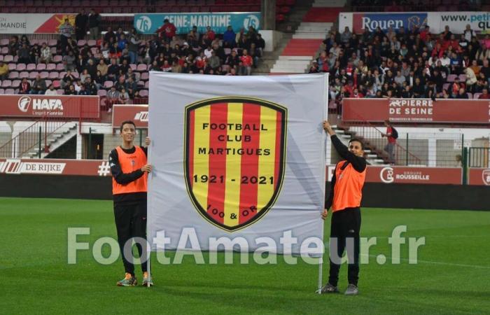 DNCG. Demotion as a precautionary measure for Olympique Lyonnais and Martigues