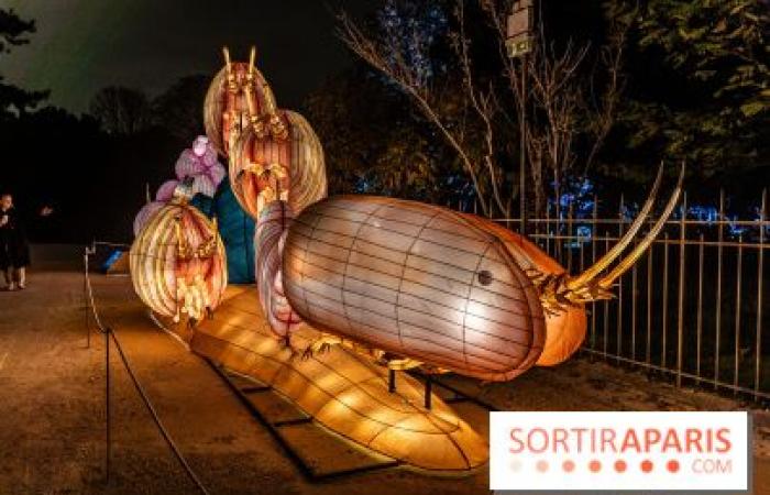 Jurassic in the process of illumination: the 2024-2025 festival of lights at the Jardin des Plantes – photos