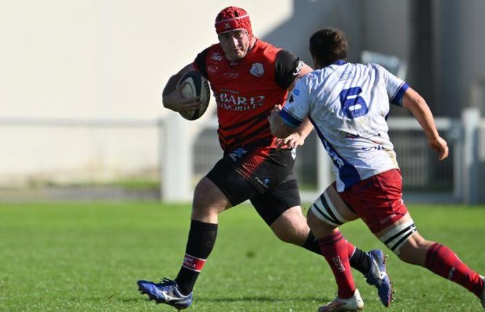 Amateur rugby – Federal 1: “Incredible what our team attracts from the world…” Euphoric leader, Gaillac at the Castelsarrasin test