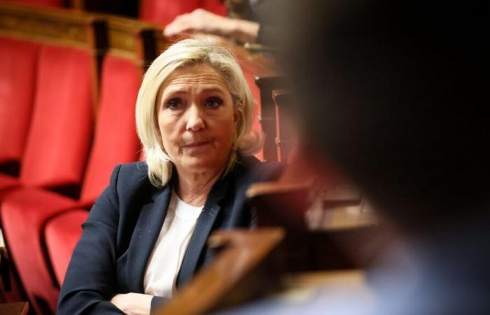 Trial of FN parliamentary assistants: what consequences for Marine Le Pen?