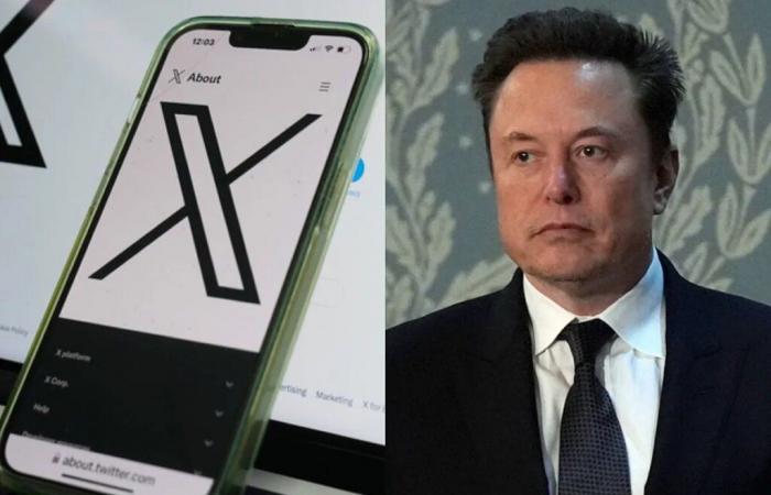 Elon Musk’s X collapses: hundreds of artists and media flee to a booming social network