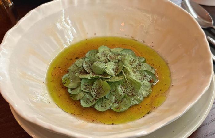 At Stock, in Paris, “heads, the nutty taste of scallops, tails, the salty notes of pickled plum”