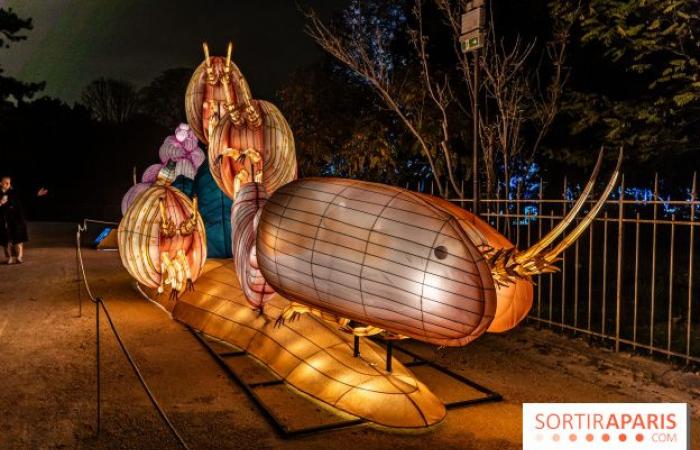 Jurassic in the process of illumination: the 2024-2025 festival of lights at the Jardin des Plantes – photos