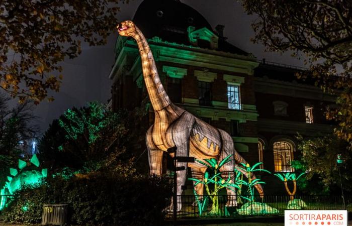 Jurassic in the process of illumination: the 2024-2025 festival of lights at the Jardin des Plantes – photos