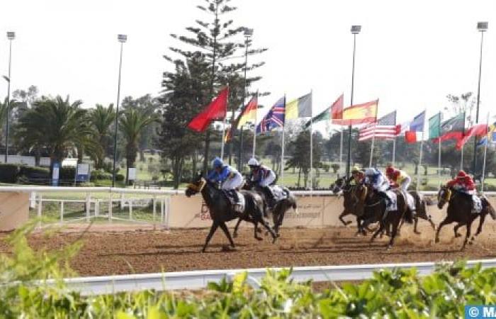 International Meeting of Morocco: the horse “Al Othmane” wins the Grand Prix of HM King Mohammed VI for English thoroughbreds