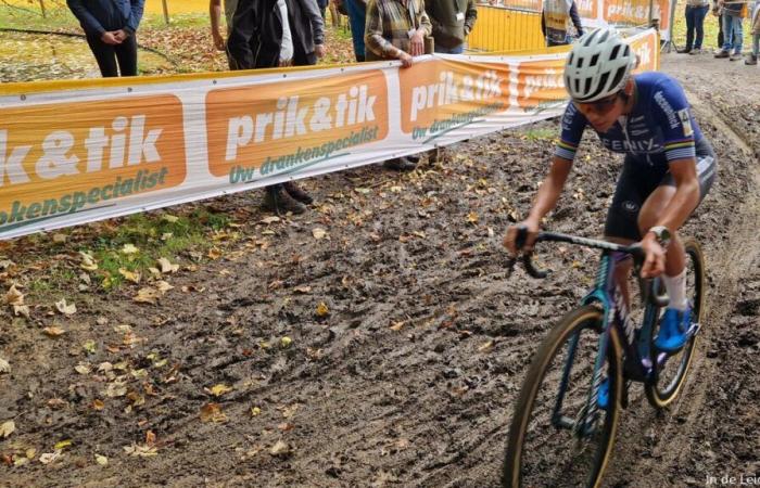 Large group colors Superprestige Merksplas, but Alvarado remains cool and accelerates to victory at a clever moment