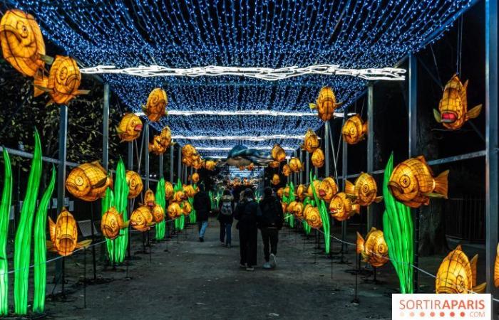 Jurassic in the process of illumination: the 2024-2025 festival of lights at the Jardin des Plantes – photos