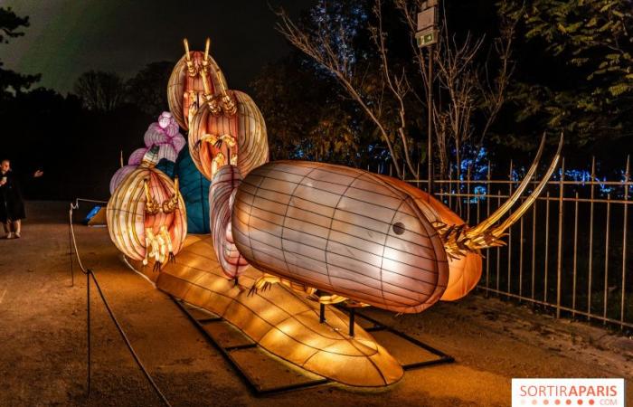 Jurassic in the process of illumination: the 2024-2025 festival of lights at the Jardin des Plantes – photos