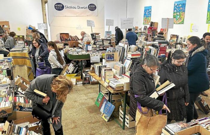 In Guingamp, the Diwan school book fair “starts very well”