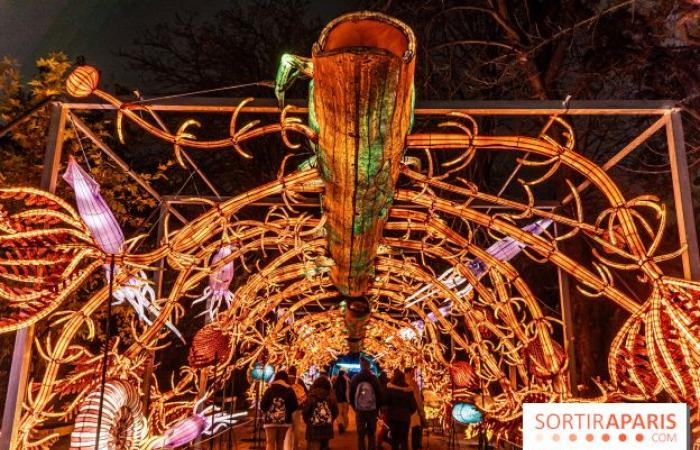 Jurassic in the process of illumination: the 2024-2025 festival of lights at the Jardin des Plantes – photos