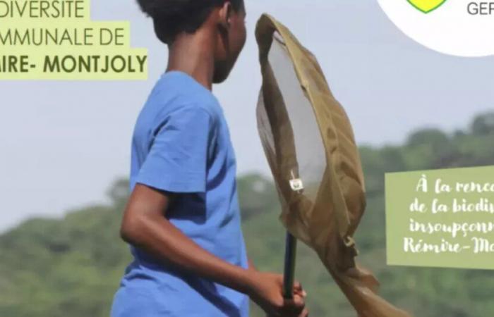 Municipal Biodiversity Atlas Trophies 2024: Rémire-Montjoly (Guyana) among the 5 winning communities