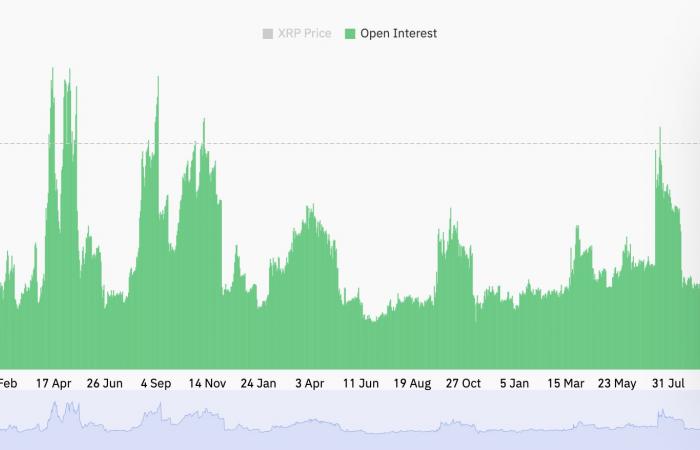 XRP outperforms crypto market with 17% pump — What’s driving rally?