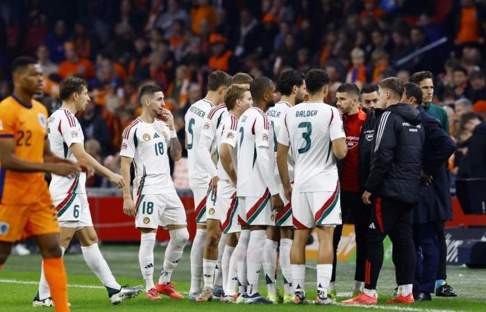 Assistant coach Adam Szalai collapses during the Netherlands-Hungary, the football association comes with reassuring news: “His condition is stable and he is conscious”