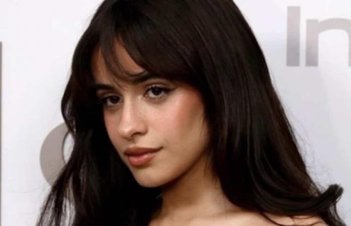 Camila Cabello is taking a break from social media and fans are heartbroken