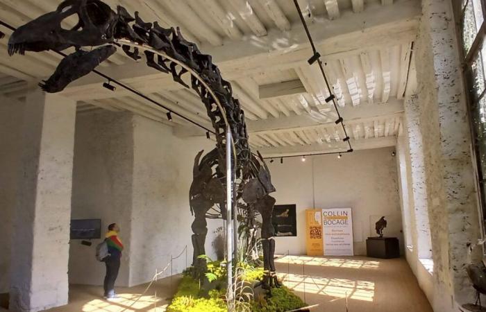 A giant dinosaur skeleton sold for 6 million euros near Paris