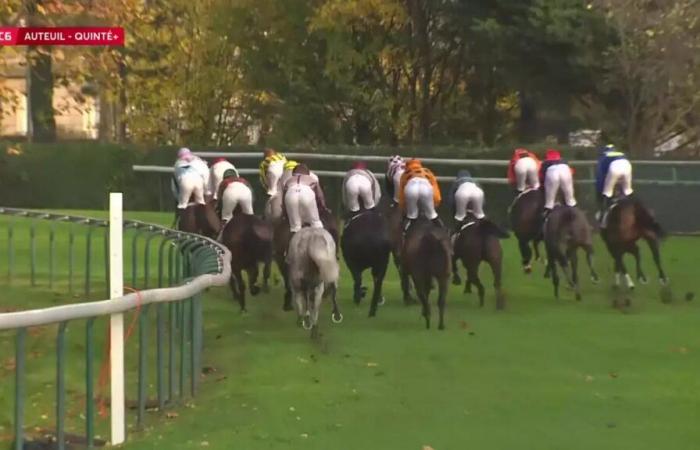 Quinté+: PRICE COUNT SCHOMBERG – AUTEUIL – 16/11/2024: runners, predictions and results in videos – Race 6