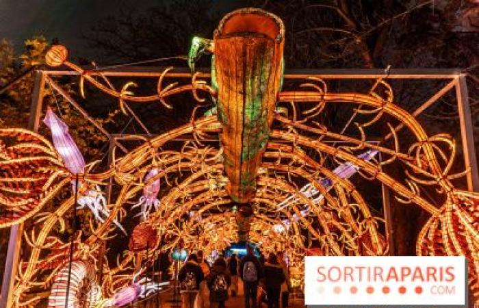 Jurassic in the process of illumination: the 2024-2025 festival of lights at the Jardin des Plantes – photos