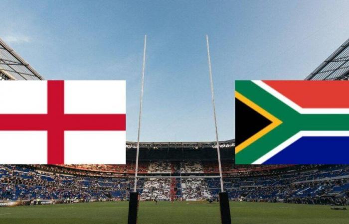 South Africa: on which channel and at what time to watch the match live?