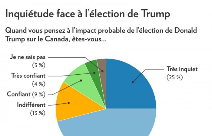 Election of Donald Trump | Quebecers worried and less inclined to travel to the United States