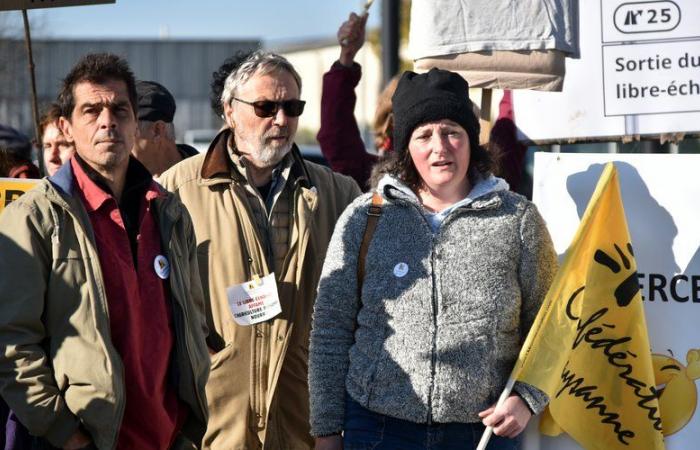 Anger of farmers: “The EU-Mercosur treaty will put an end to French livestock farming”, for the Lot-et-Garonne Peasant Confederation