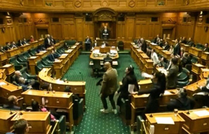 New Zealand: MP interrupts parliamentary session with haka: News