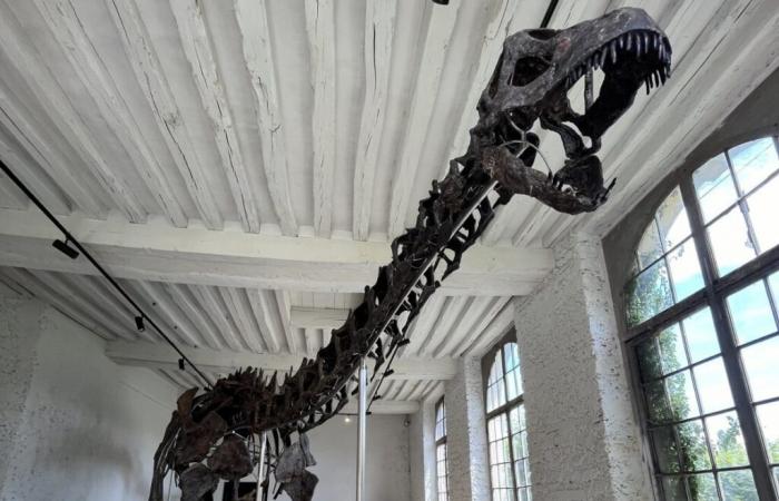 Vulcan, a 5 meter high dinosaur, sold for 4.7 million euros