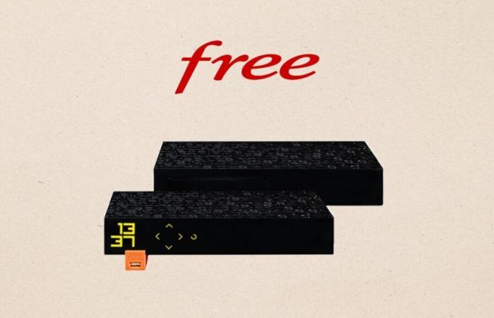 When Free offers its Freebox Revolution Light Fiber offer at this price, you have to go for it