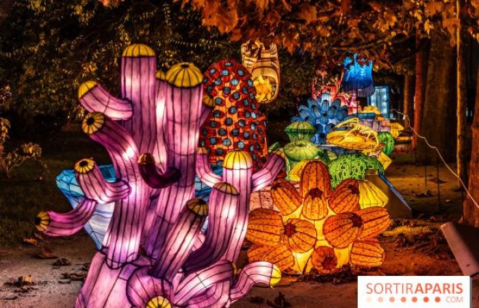 Jurassic in the process of illumination: the 2024-2025 festival of lights at the Jardin des Plantes – photos